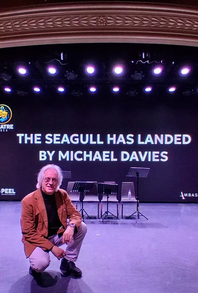 Seagull takes a dive cover